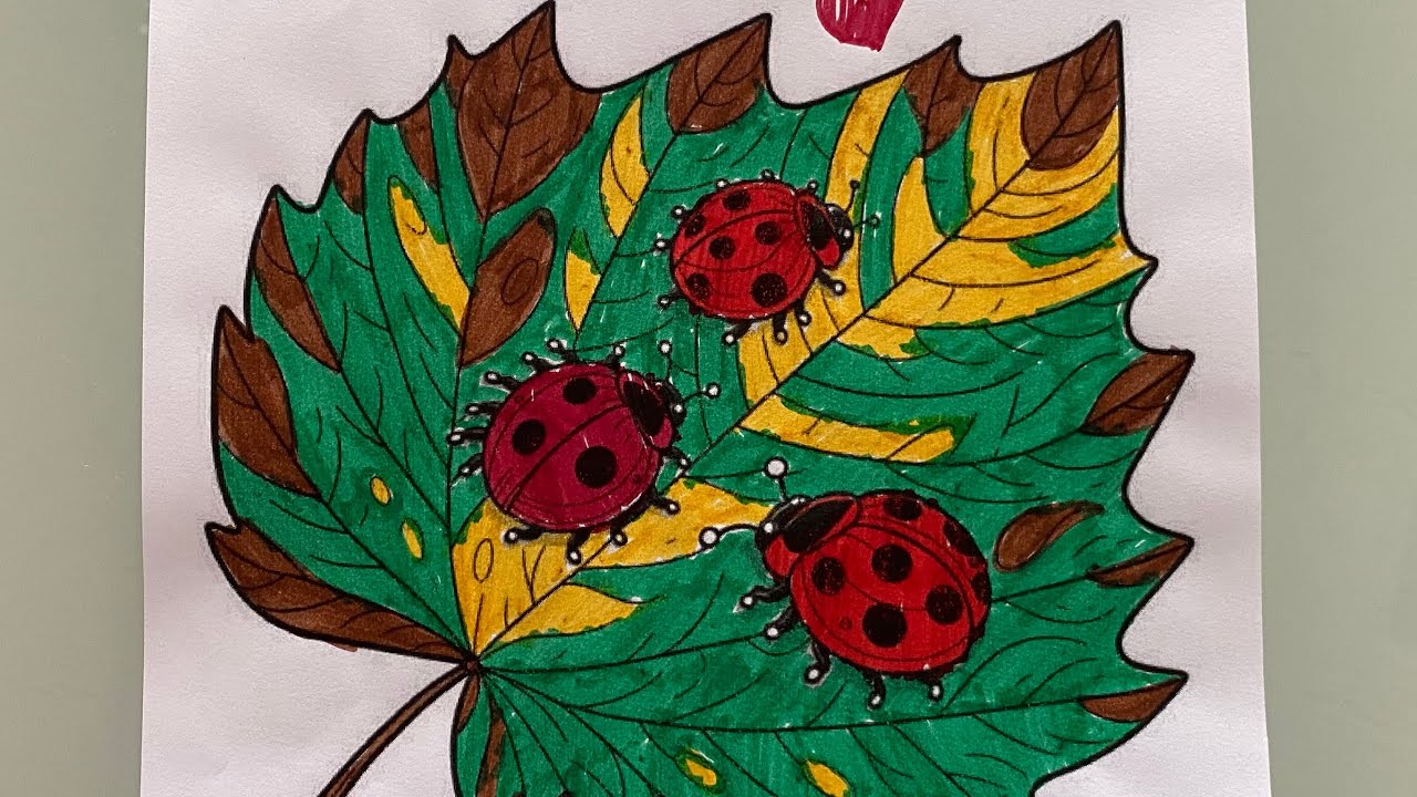 Coloring ladybugs 🐞 on a leaf 🍁 asmr