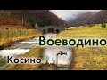 В отпуск с мамой! Курорт Воеводино, термальные источники Косыно, Мукачево