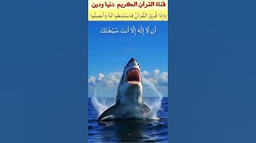 من أروع قراءات القارئ الباكي الشيخ محمد صديق المنشاوي رحمه الله من سورة الأنبياء #المنشاوي  #المصحف