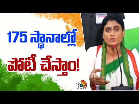 175 స్థానాల్లో పోటీ చేస్తాం! | YS Sharmila | AP Congress | AP Elections 2024 | 10TV News