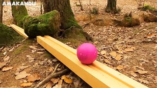 Magic Marble Run Trick ASMR Enchanted Magic Forest Volumen1