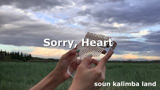 (Easy) NCT DREAM 엔시티 드림 - Sorry, Heart [ kalimba cover with tabs ]