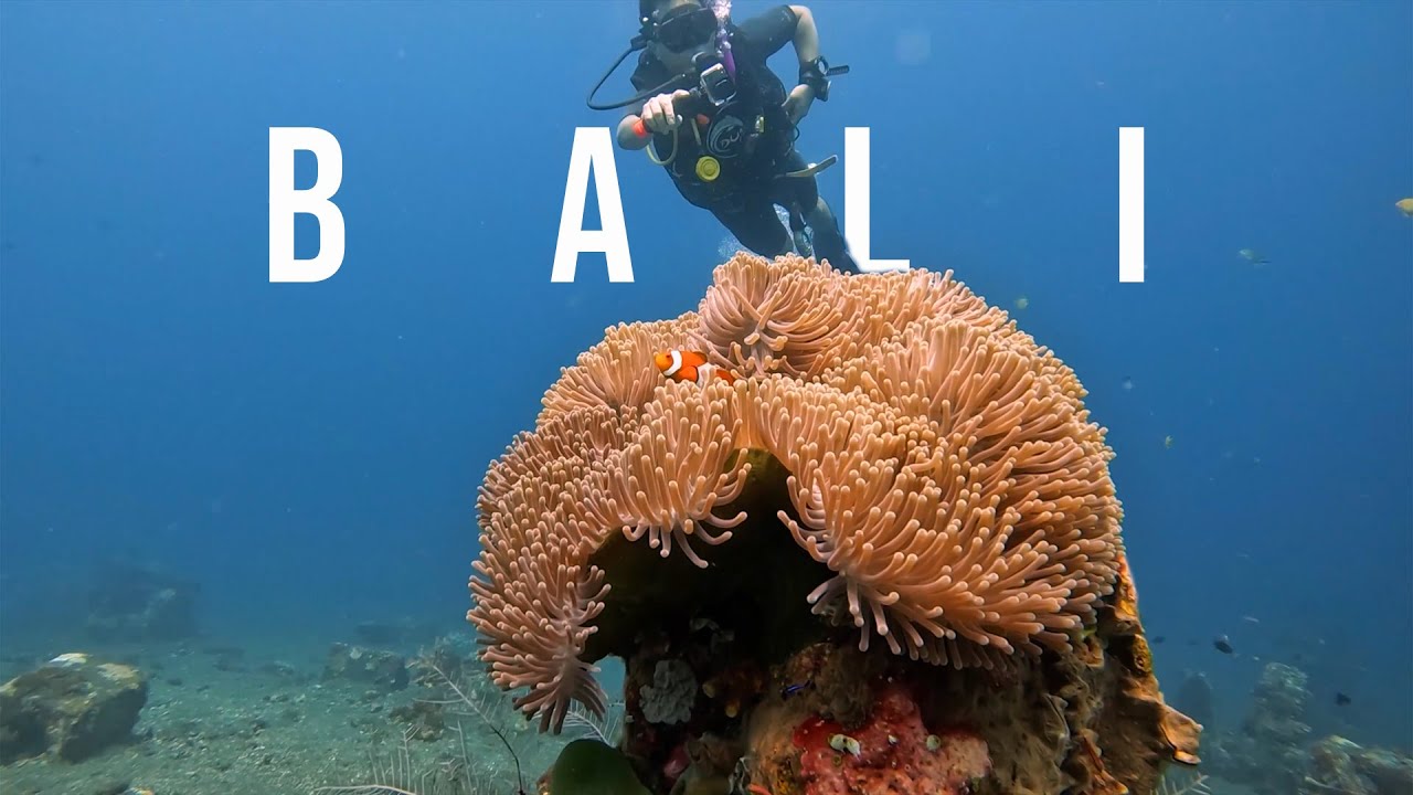 Diving in Bali & going to more cafes