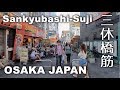 Osaka Sankyubashi-Suji Walking - From Dotonbori to Nakanoshima [4K] POV