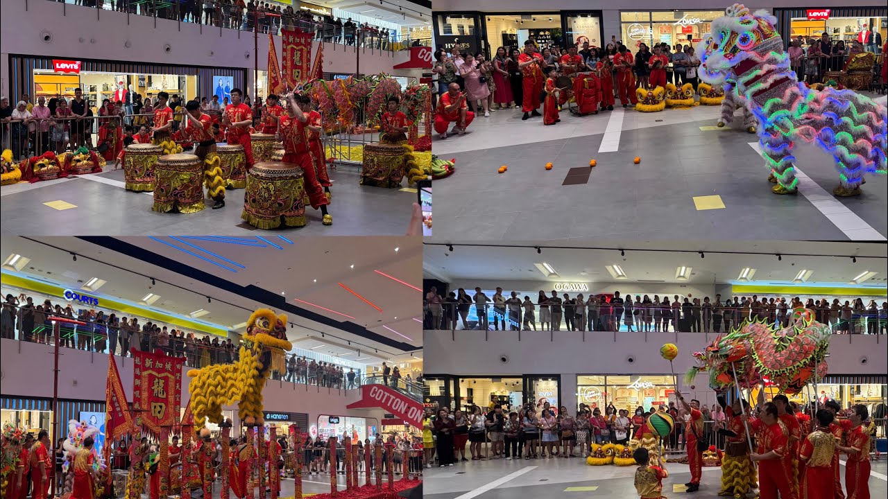 新加坡龍田武术龙狮团 Long Tian Pugilistic Dragon & Lion Dance Troupe at Nex Shopping Centre 23 Feb 2026