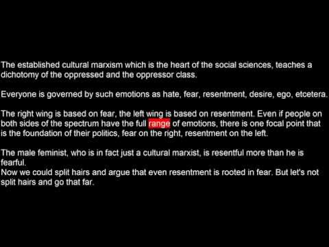 the male feminist
