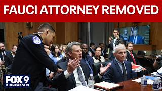 Fauci attorney ejected from Senate hearing after heated exchange