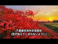 (音樂欣賞)ルルティア(Rurutia)x月光石(selenite)x懷念我的學生時代治癒歌姬女神x彼岸花 #music #月光石 #ルルティア #療癒 #治癒 #彼岸花 #日文歌