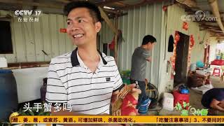 《谁知盘中餐》 20200921 黄油蟹“一蟹难求”背后|CCTV农业