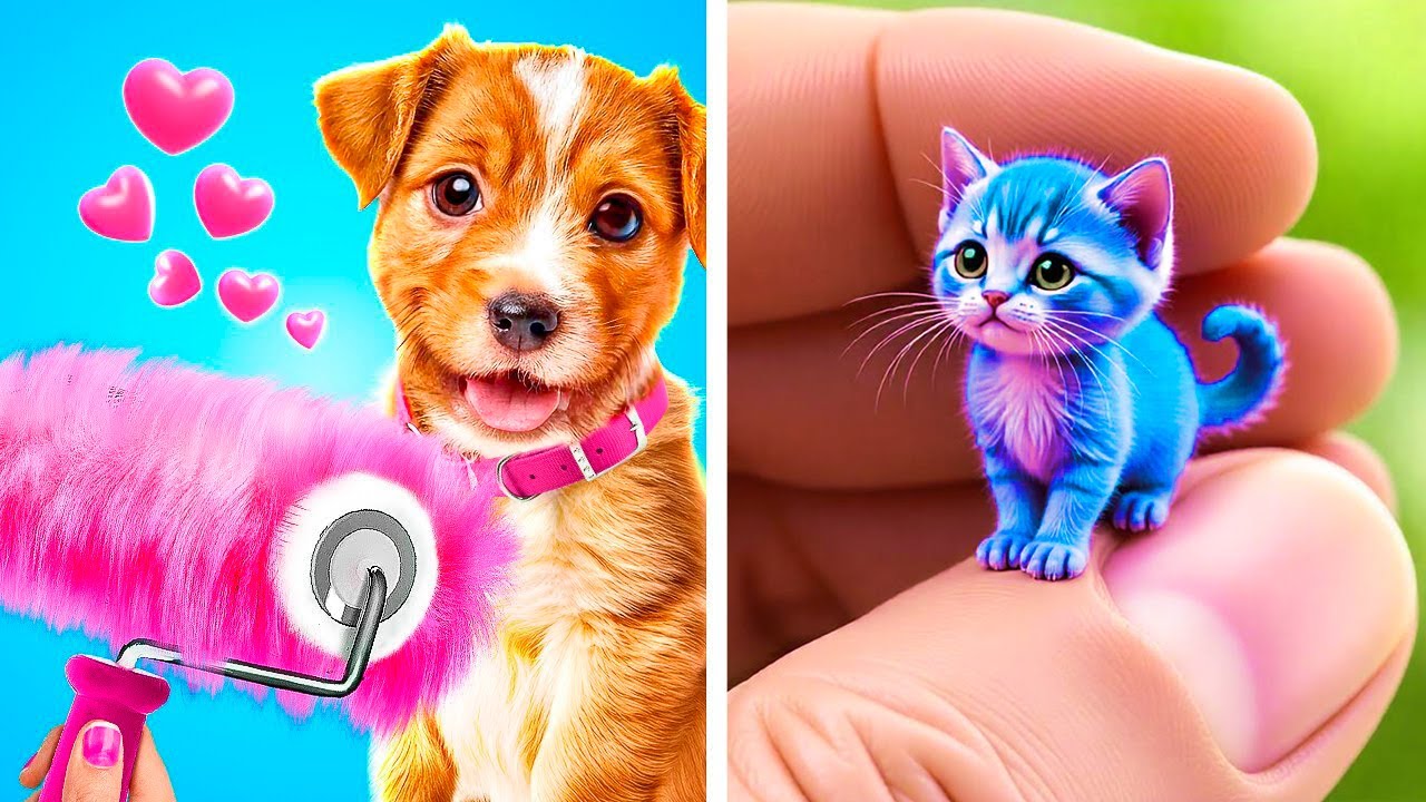 Dog vs Cat: Secret Pet House Showdown! 🐶😻 Who Will Win!? By Resting Purr Face Live