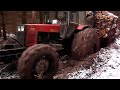 Belarus Mtz 1025 in wet forest, difficult conditions 2
