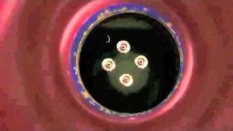 Magnetic Structures of the Universe. ~A basic understanding.