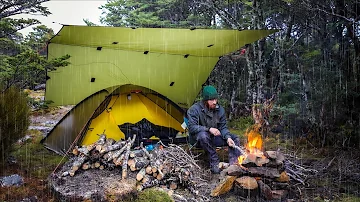 Camping in the Rain - Campfire - Hardwood and Bird