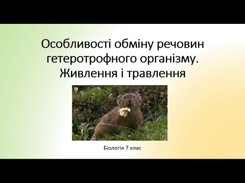 Біологія. Тварини. Обмін речовин у гетеротрофних організмів. Живлення. Травлення.