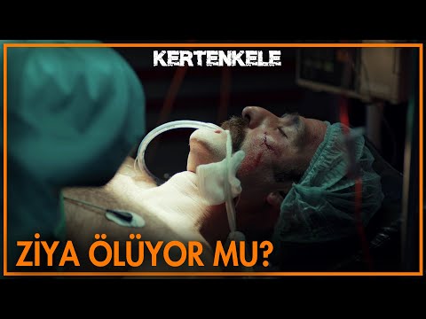 Ziya, hayata gözlerini yumuyor 😥 -Kertenkele 35. Bölüm Sahneleri