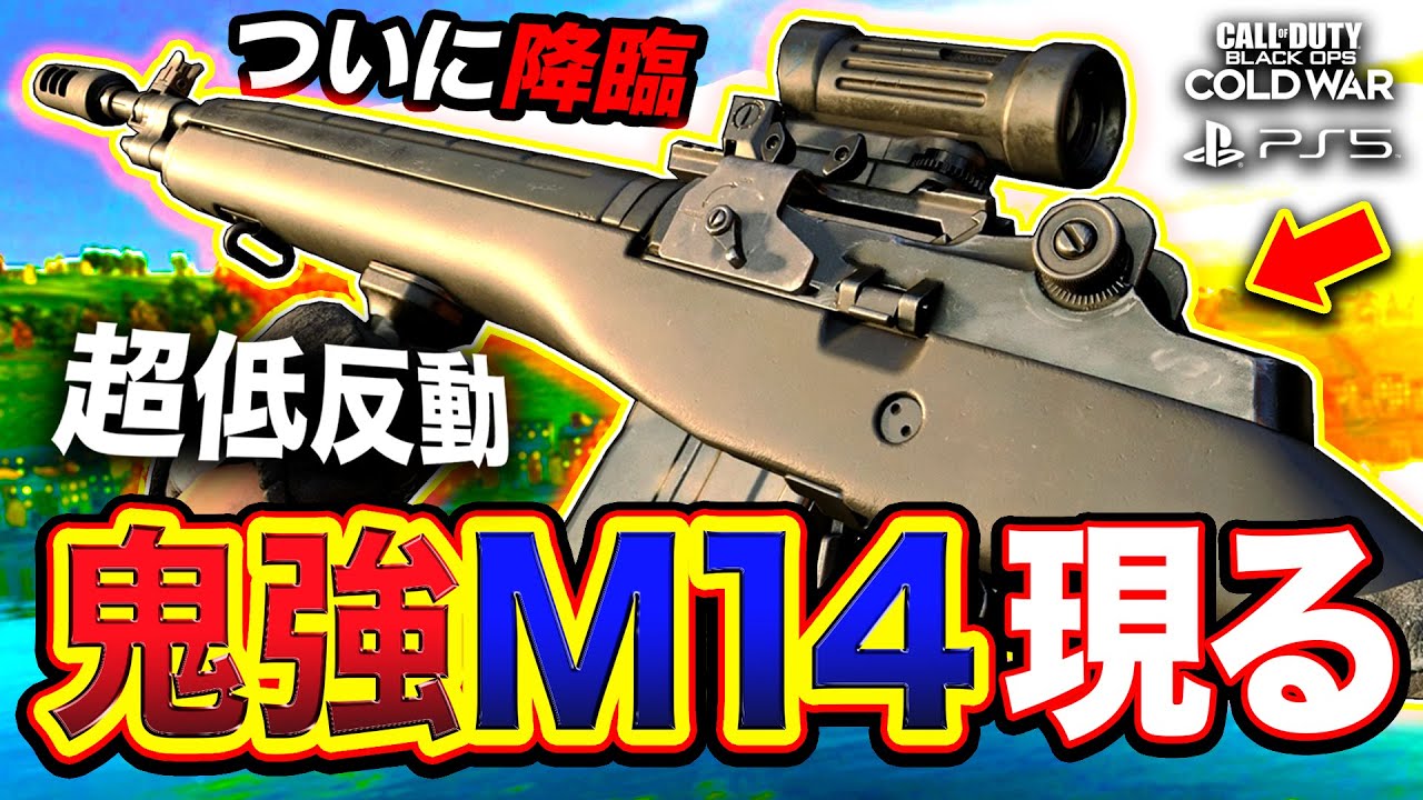 Cod Bocw は面白いのか 実際にプレイした評価 Ps4版 ばしおのゲームブログ