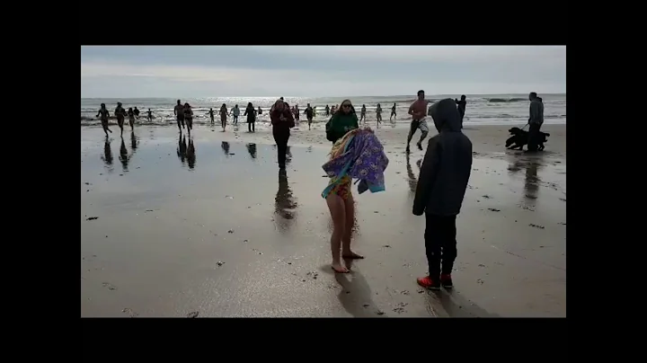 Ventnor Presidential Polar Plunge