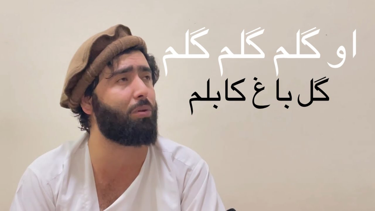 صوفی شعیب - او گلم گلم  گل باغ کابلم sofi shoaib Oh golom golom