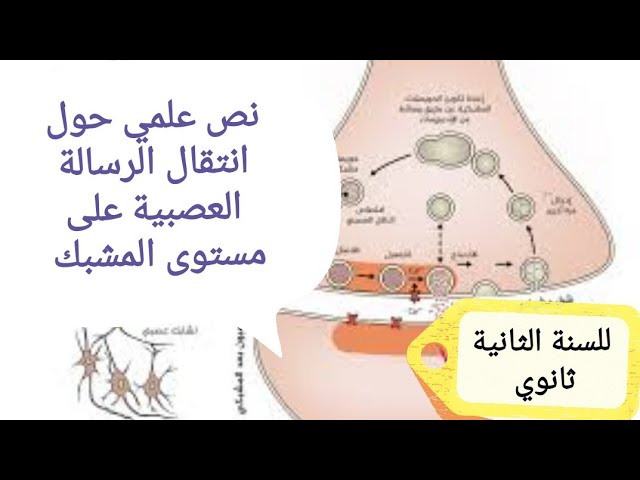 نصوص علمية في العلوم الطبيعية للسنة الثانية ثانوي علوم تجريبية