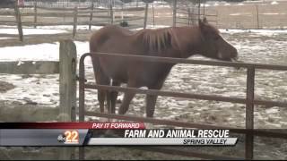 Pay It Forward: Couple Runs Farm and Animal Rescue
