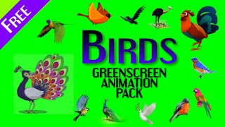 Birds green screen top animation pack | peacock parrots chicken hen and many flying birds