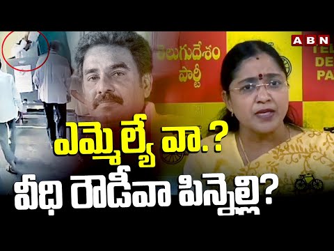 ఎమ్మెల్యే వా..? వీధి రౌడీవా పిన్నెల్లి?? | Prof Jyotsna Sensational Comments On MLA Pinnelli | ABN - ABNTELUGUTV