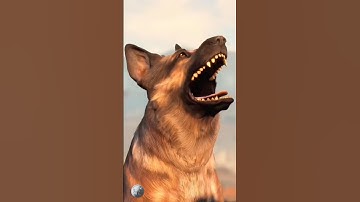 Fallout’s FINALE Update: Will it FIX Missing DLCs? Patch 1.42 #fallout #gaming #bethesda