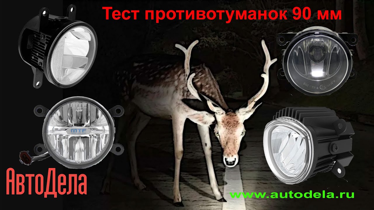 Тест противотуманных фар