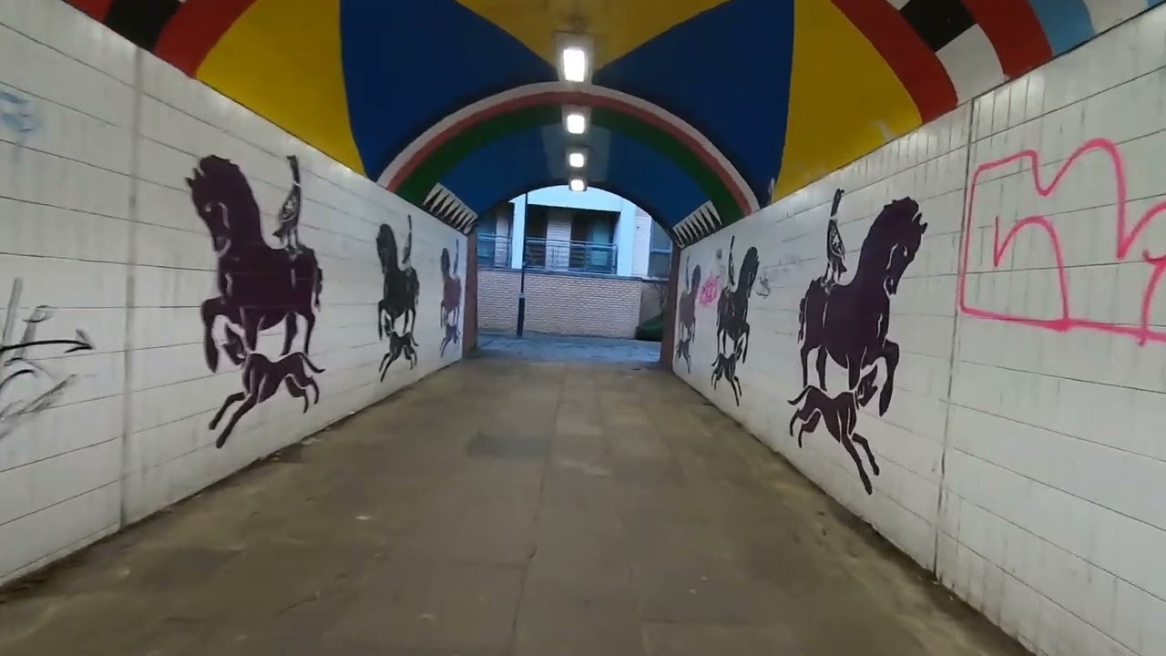 Giant ROAM3  Leeds   Lemonroyd Lock