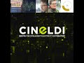 4 Years of CINELDI Research