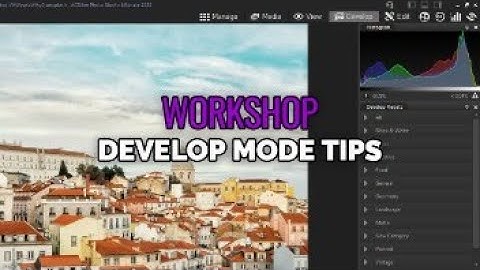 Develop Mode Tips - Workshop