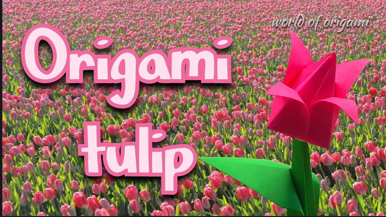 Origami Tulip | How to make a paper tulip | World of origami | 