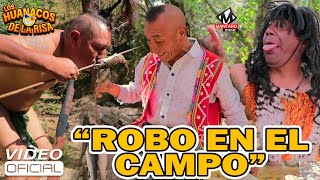 ROBO EN EL CAMPO - Los Huanacos de la Risa  😂 2023 El Cholo Arcadio