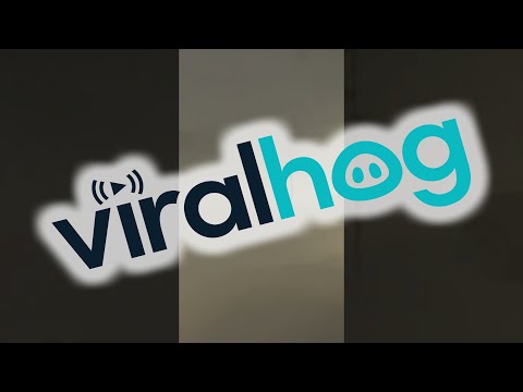 Zero Visibility Snowstorm in Ontario, Canada || ViralHog