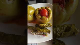 Adana Usulü Biber Dolması Yaprak Sarması Sarma Dolma Yemek Tarifi 