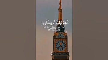 الله لطيف بعباده #قرآن #قرآن_کریم  #راحة نفسية #ترند #تلاوةخاشعة #ماهر_المعيقلي #ماهرالمعيقلي #quran