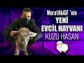 MuratAbiGF'nin Evcil Hayvanı Kuzu Hasan I Koronalı Youtuberlar Ofiste 🤒