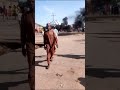 INNALILLAH WA INNA ILAIHI RAJIUN YADDA ZANGA ZANGA TA GUDANA A ANKA JIHAR ZAMFARA AKAN TSARO INNALILLAH WA INNA ILAIHI RAJIUN YADDA ZANGA ZANGA TA GUDANA A ANKA JIHAR ZAMFARA AKAN TSARO