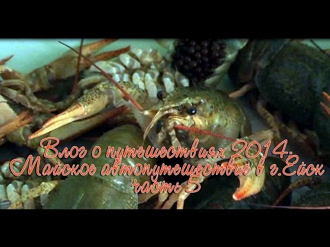 Автопутешествие в г Ейск 5