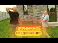 Черничники предлагают переехать к ним. Печки лавочки VLOG. GEKTOR муравьиная гроза