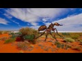 Giant insect in australian outback