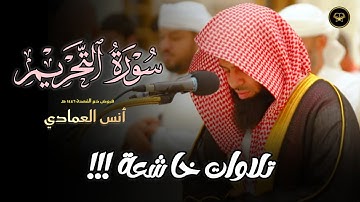 بترتيل عذب لا توصف لسورة التحريم بصوت الشيخ أنس العمادي | مغرب 16 ذو الحجة 1446 هـ