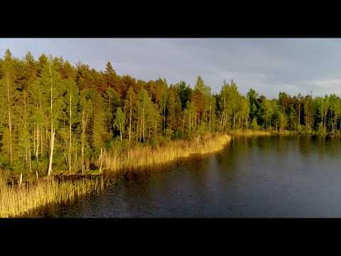 Video: Igal Suvel Kaduv Järv - Alternatiivvaade