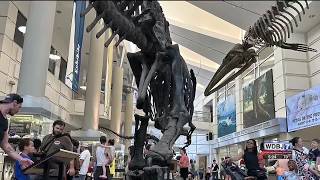Dinosaurs Take Over Martinsville