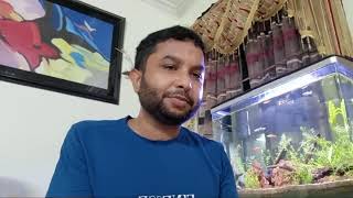 Aquascaping By Dr Md Moniruzzaman