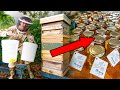 Harvesting 68kg of honey  full process from beehive to jars  candle making