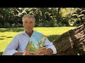 PIERCE BROSNAN READS "THE PIG ON THE HILL"