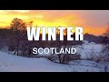 A Scottish Winter | Nature &amp; Wildlife Walk, In The Snow, Around My Home In West Edinburgh, Scotland