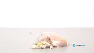 Salmonella Phone