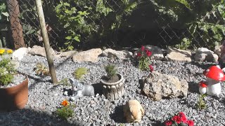 How to Make a Rock Garden